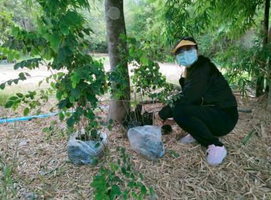 สหกรณ์จังหวัดบึงกาฬ พร้อมด้วยสหกรณ์การเกษตรเมืองบึงกาฬ ... พารามิเตอร์รูปภาพ 6